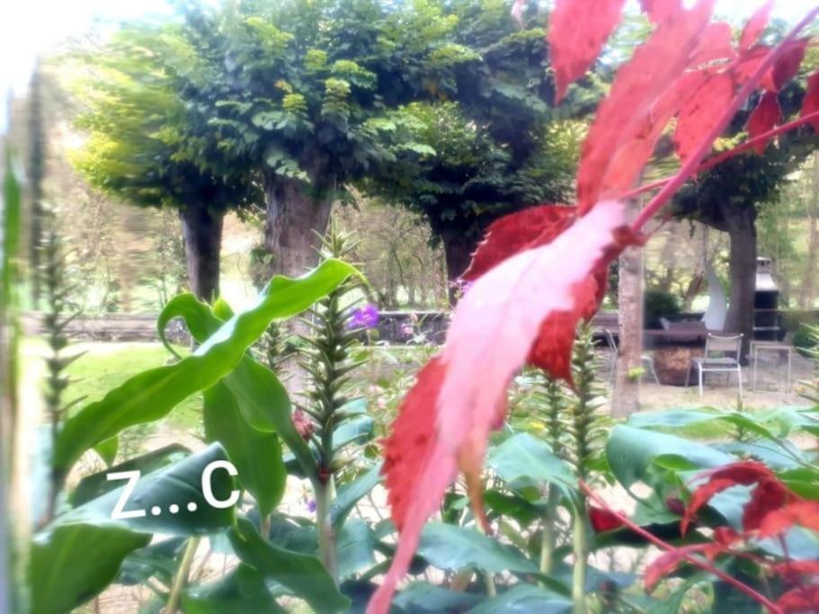 贝尔蒙特·德米兰达Zentral Club Neutron-Jacuzzi公寓 外观 照片